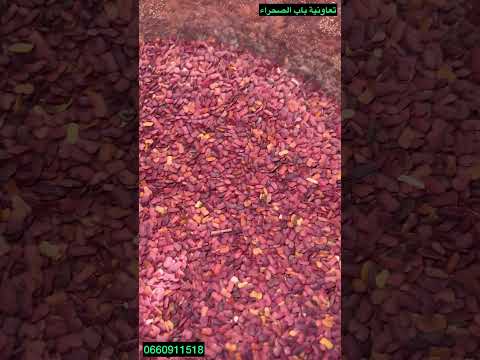 عشبة الحباسة وفوائدها 