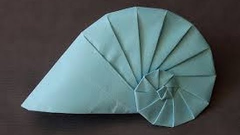 Origami navel shell by Tomoko Fuse