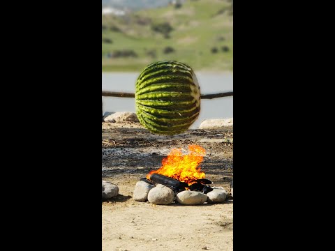 Cooking a wild cactus for a delicious meal 🌵 Listen to 