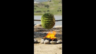 Cooking a wild cactus for a delicious meal 🌵 Listen to 