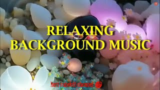 RELAXING BACKGROUND MUSIC | @herisubektichannel4370