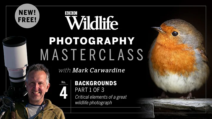 Episode Four: Backgrounds – critical elements of a great wildlife photograph - DayDayNews