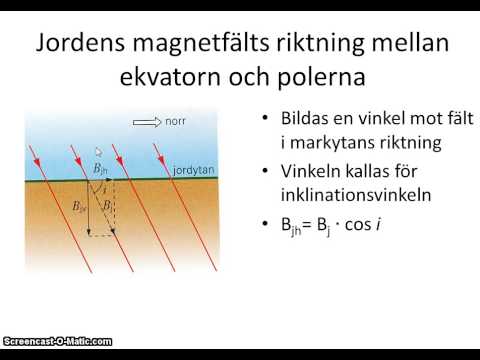Video: Analys Av Stalagmiterna Indikerade En Snabbare Vändning Av Jordens Magnetfält - Alternativ Vy