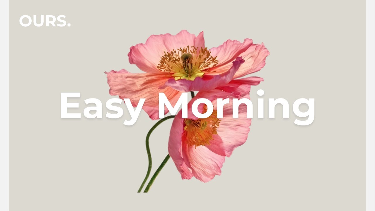 Morning Clarity Mix ☕ Soft Drift | Chill Electronica for Study, Work & Focus