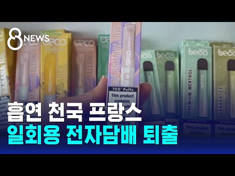 흡연 천국 프랑스 일회용 전자담배 퇴출 결정 SBS 8뉴스 