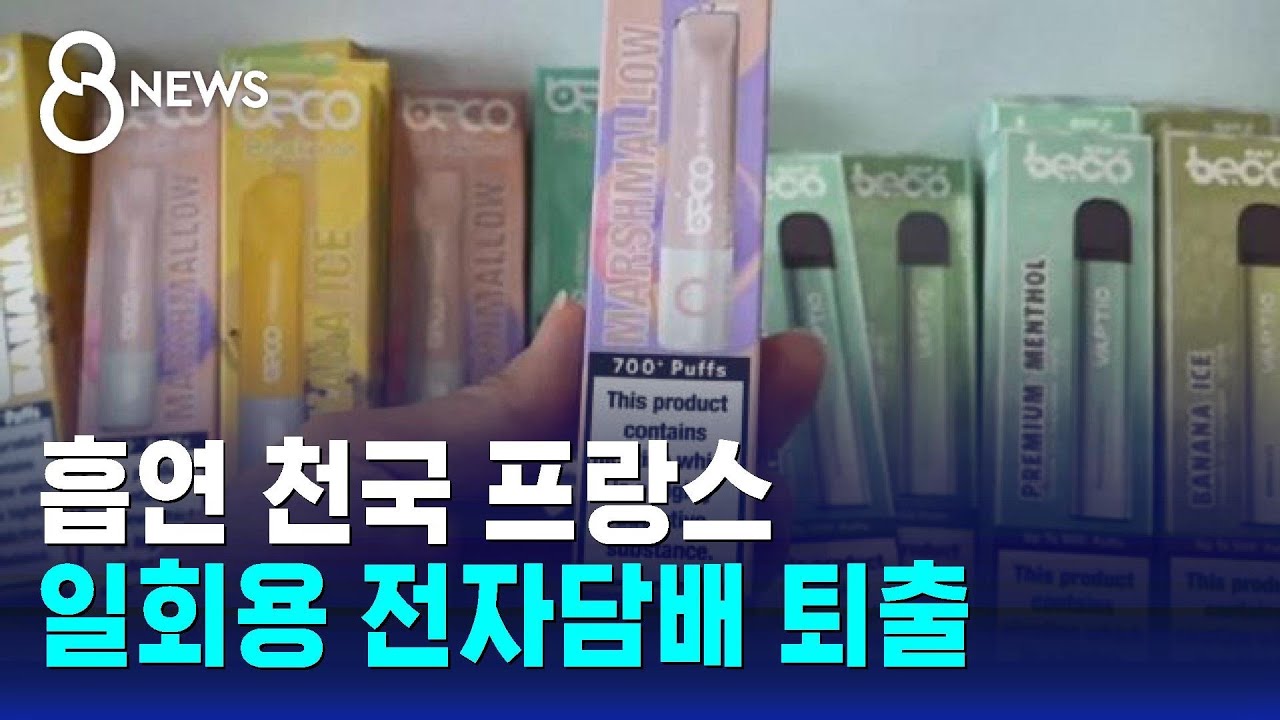 '흡연 천국' 프랑스, 일회용 전자담배 퇴출 결정 / SBS 8뉴스