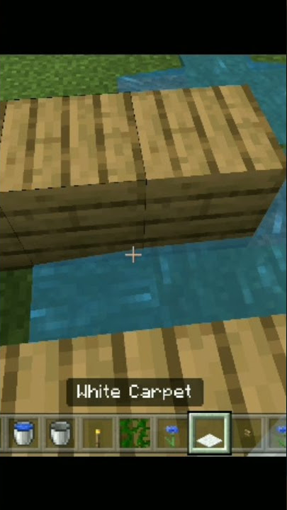Minecraft Logic Is Brocken🤦 #shorts