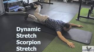 Dynamic Scorpion Stretch