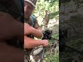 Stung by hornets nest! Colorado backcountry elk hunting