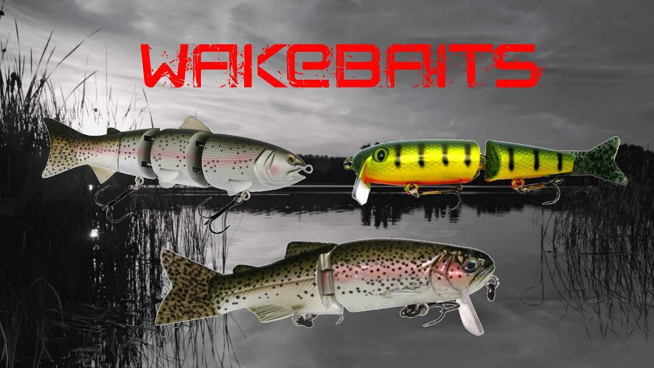 Wakebait Tricks to Catch Bigger Bass 