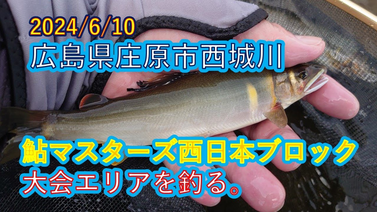I tried fishing in the Ayu Masters area of ​​the Nishijo River in