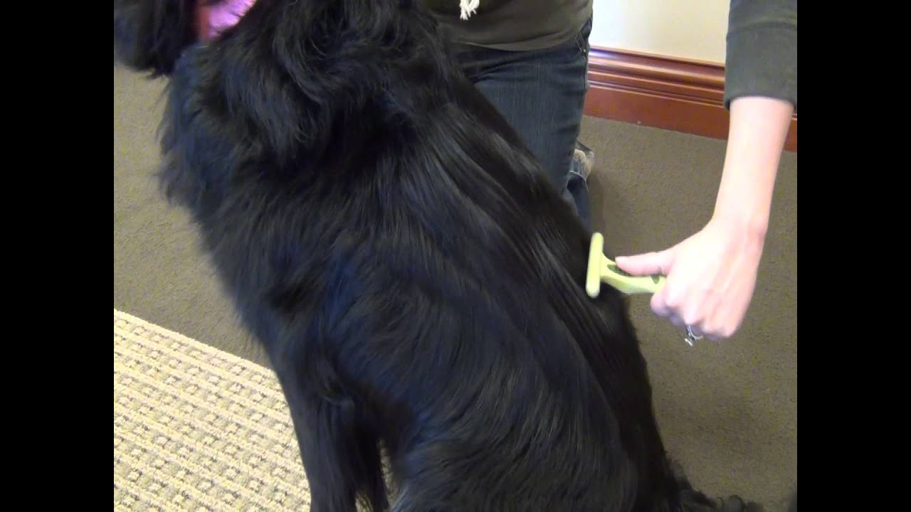 Safari® Double Row Undercoat Rake