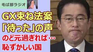 230420 GX束ね法案 識者から「待った」の声