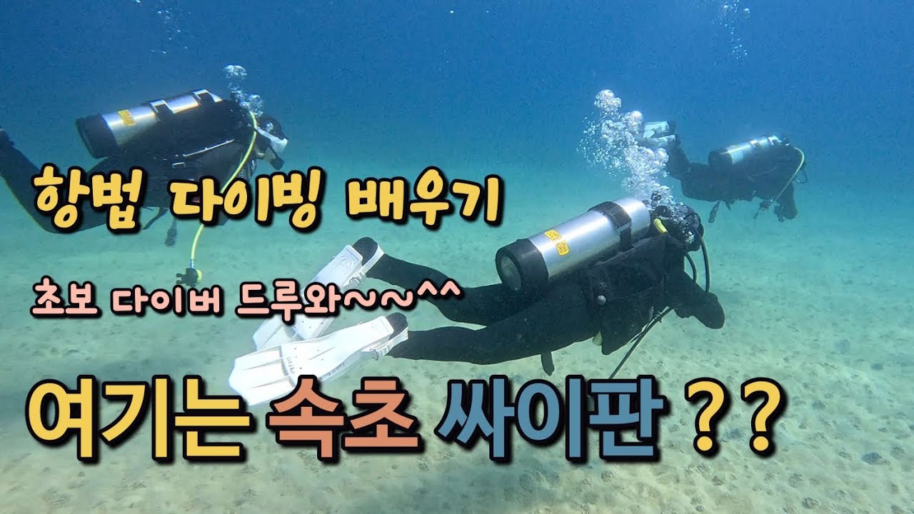 #속초체험다이빙 #수중네비게이션 #삼각항법다이빙