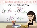 Aromatic Sulfonation Mechanism - EAS vid 5 By Leah4sci