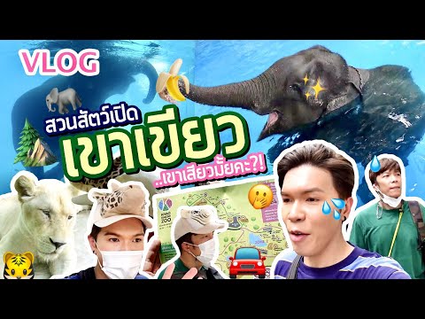 VLOG | น้อยหนึ่งที่มีชีวิต 30 | สวนสัตว์เปิดเขาเขียว..เขาเสียวมั้ยคะ?! | noyneungmakeup