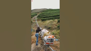 The Chinese government has benefited farmers in that country👍 #short #farming #facts