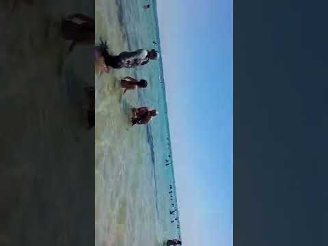 بحر حمام سوسة 999 