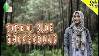 Edit foto background menjadi blur di android (Snapseed) screenshot 3