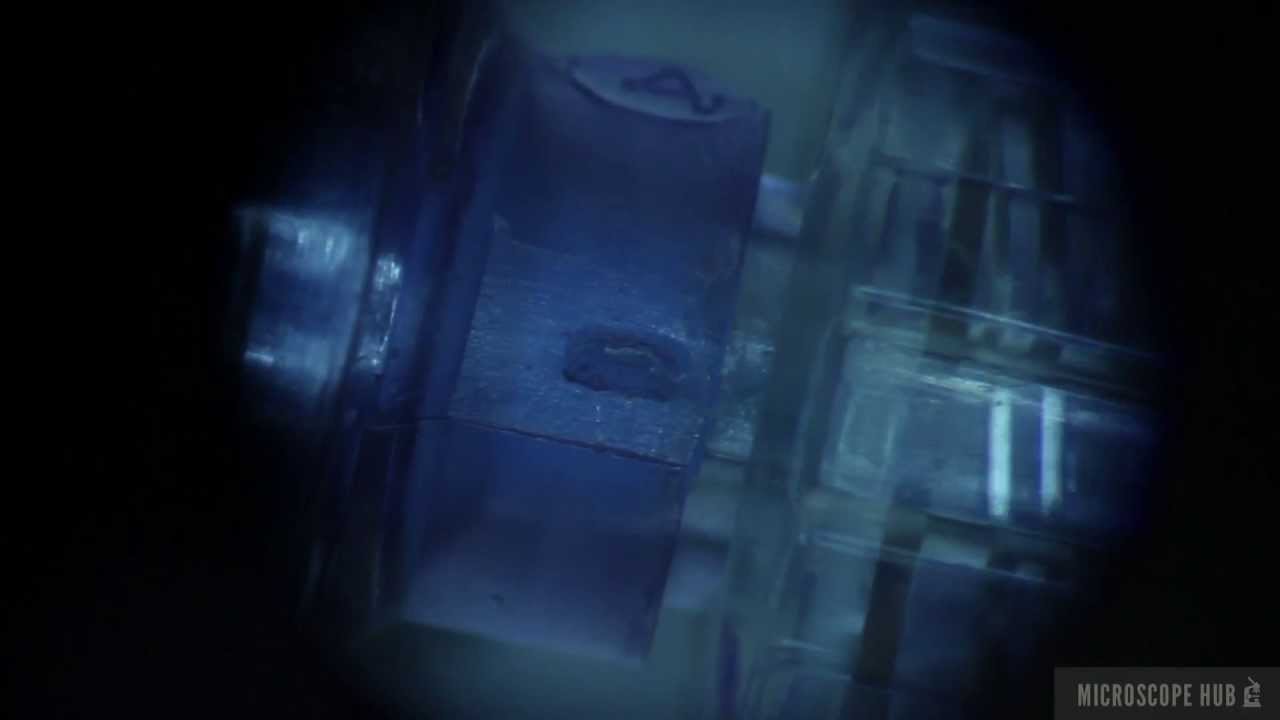 A60  Medical Device Inspection Stereo Microscope - "Magnification" Range Feature