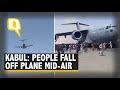 Afghan Crisis | Watch Terrifying Visuals of People Falling to Death After Clinging on to Aircraft