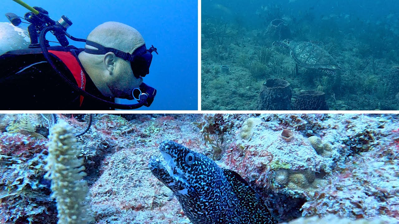 Scuba Diving In West Palm Beach 2022 YouTube