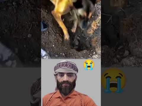 دموعها تترجم ما لا تنطق به الألسن الأم لا تستسلم لفقد ابنها 