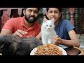 Best homemade cat food🐈|persian cat food|All about persian cat|cat food recipe malayalam|Adams vlog