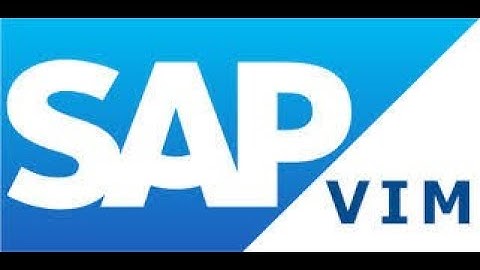 Analyzing Invoices, Transactions and Process Flow in Vendor Information Management (VIM) in SAP