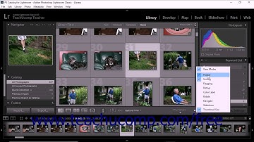 Lightroom Classic CC Tutorial Using the Painter Tool with Keywords and Keyword Sets Adobe Training