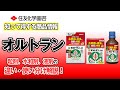 粒剤、水和剤、液剤の違い・使い分け解説！～知って得する商品情報（オルトラン）～ガーデンドクターTV84