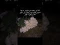 Allah ki rhmt #motivation#viral #islam