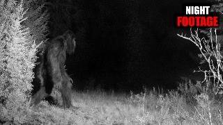 The Darkest Bigfoot Encounters Ever Caught on Camera