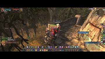 Enhancement Shaman classic TBC leveling Dustwallow Marsh Windfury proccs dual wield