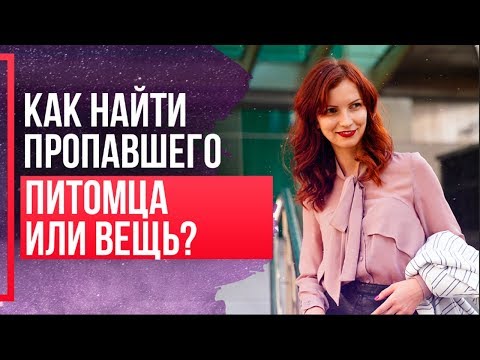 Как найти пропавшую кошку, животное? Метод Сильва. Как найти пропавшую вещь?