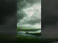 Deep Sleep Music 🍃 Forest Sounds for Relaxation and Healing