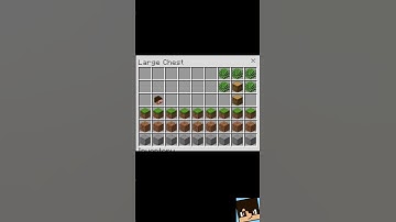 SPEEDRUNNING MINECRAFT IN A CHEST #speedrun