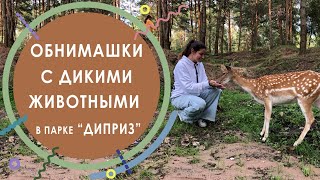 Обнимашки с дикими животными в парке Диприз / Лучший парк животных Беларуси