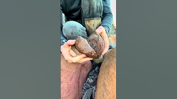 Perfect Excavation of a Brilliant Fossil 🤯