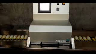 7000pieces/h egg grading machine /egg sorting machine