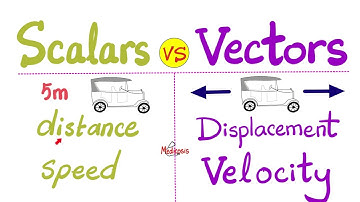 Scalars & Vectors - 18 Examples - Distance, Displacement, Speed, Velocity, Work, Torque - Physics