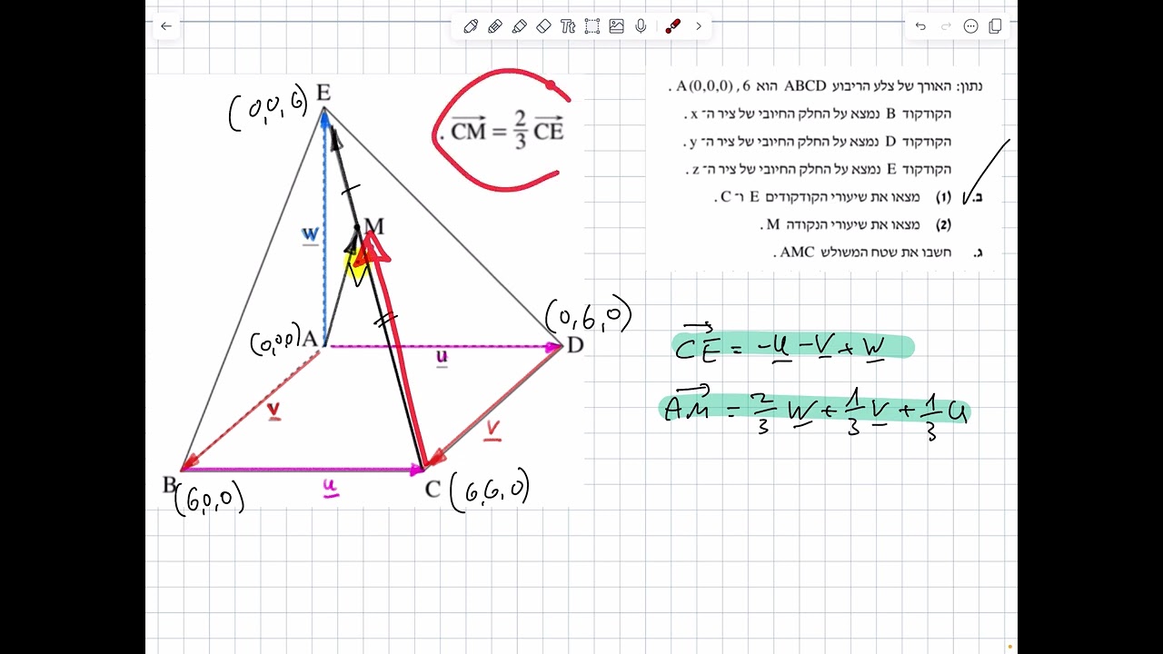 וקטורים 4 יחידות מתכונת חדשה