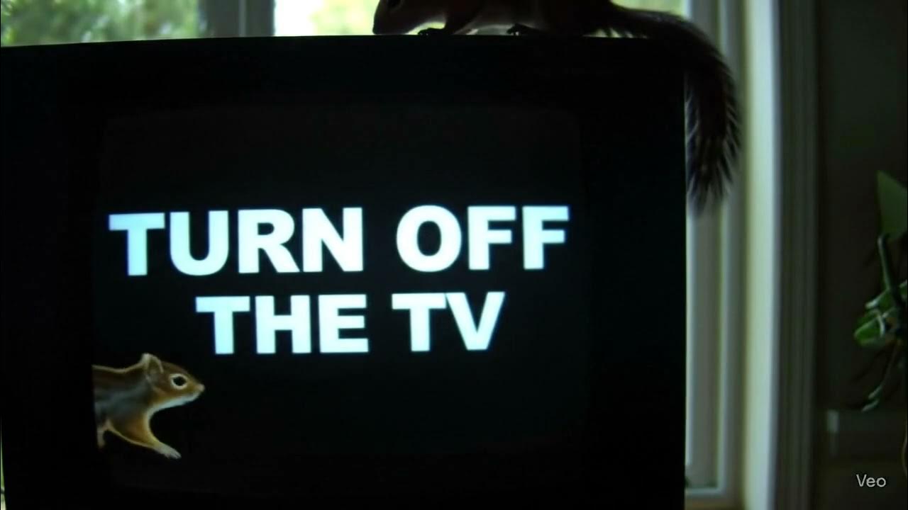 Turn Off The TV – Squirrel Edition | Cast to Any Smart TV Turn Off The TV – Squirrel Edition | Cast to Any Smart TV