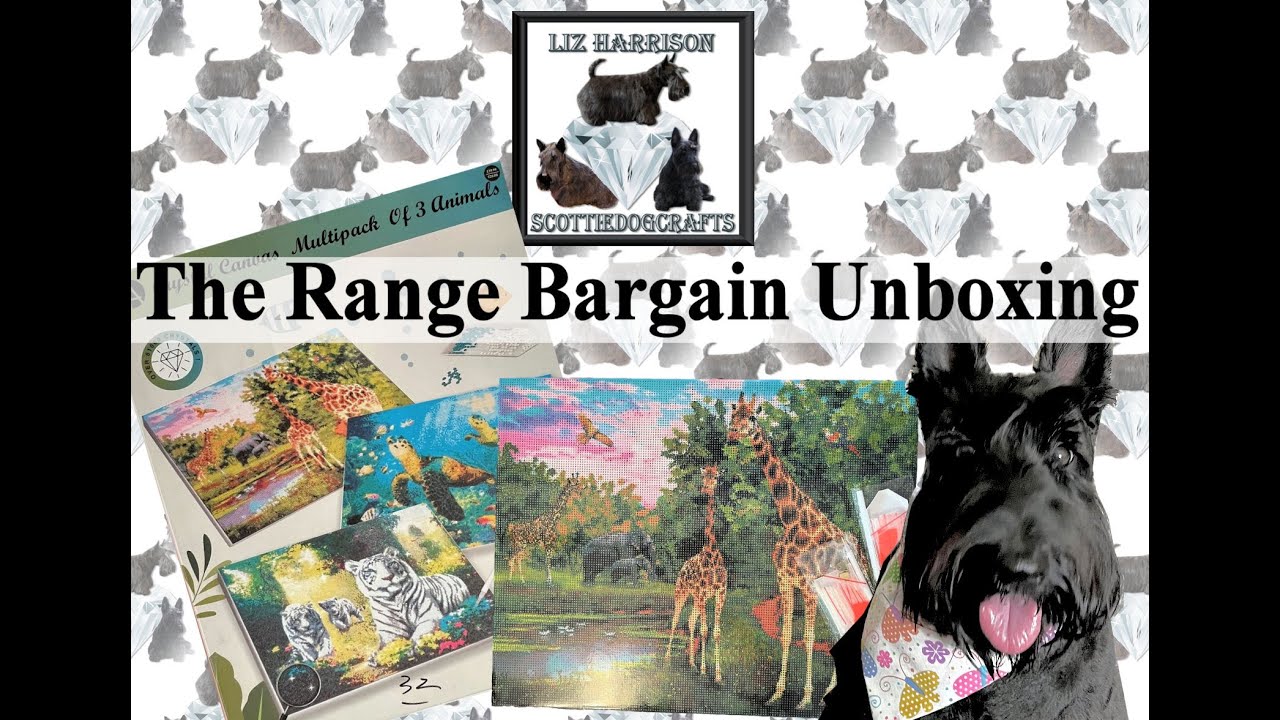 Алмазная живопись | Распаковка | The Range | Скидка в Черную пятницу | Набор из 3 картин с алмазн...