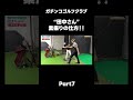 【素振りの仕方!】#ゴルフレッスン #ゴルフ #スイングトップ #golf #井上透 #pgaティーチングプロ #ドラコンプロ