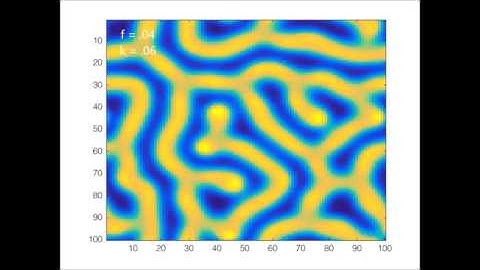 gray-scott reaction diffusion patterns