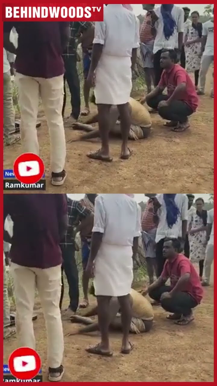 காளைகாக உசுரையே விட்ட உரிமையாளர் ?? காப்பாற்றும் போது கருவறுத்த எமன்