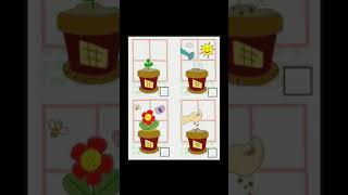 Sequencing of 4 pictures