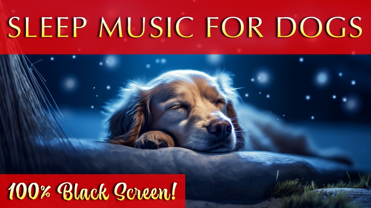 Musical Magic for Mutts 🐶  Black Screen Sleep Music for Dogs