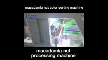 macadamia nut color sorting machine macadamia nut grading machine  separator shell